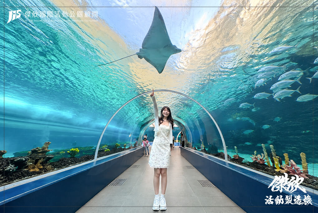 第八張
